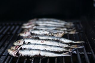 Article test
